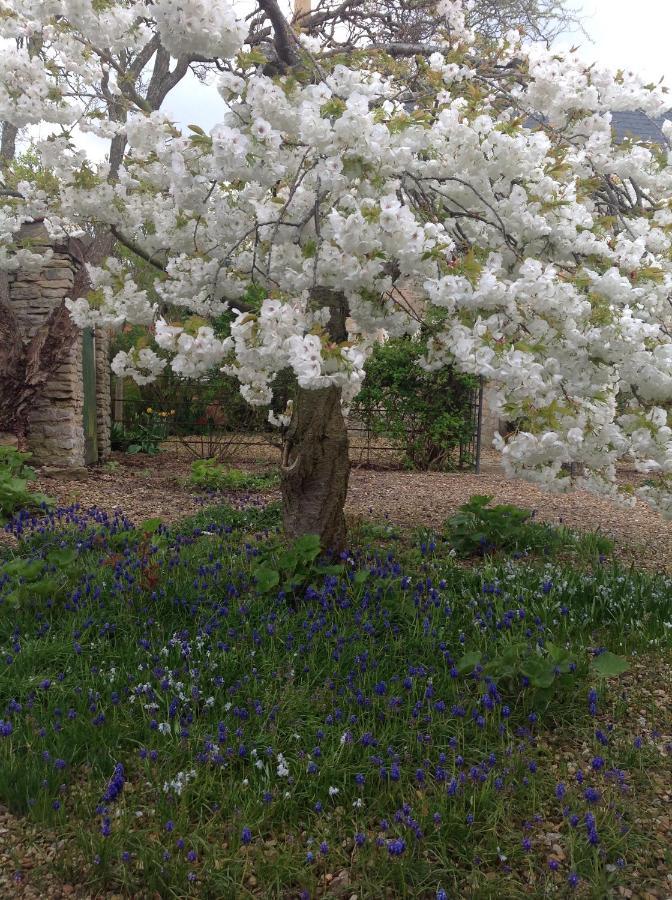 Orchard Cottage, Clematis Cottages, Stamford. Accessible Luxury Home. Dış mekan fotoğraf
